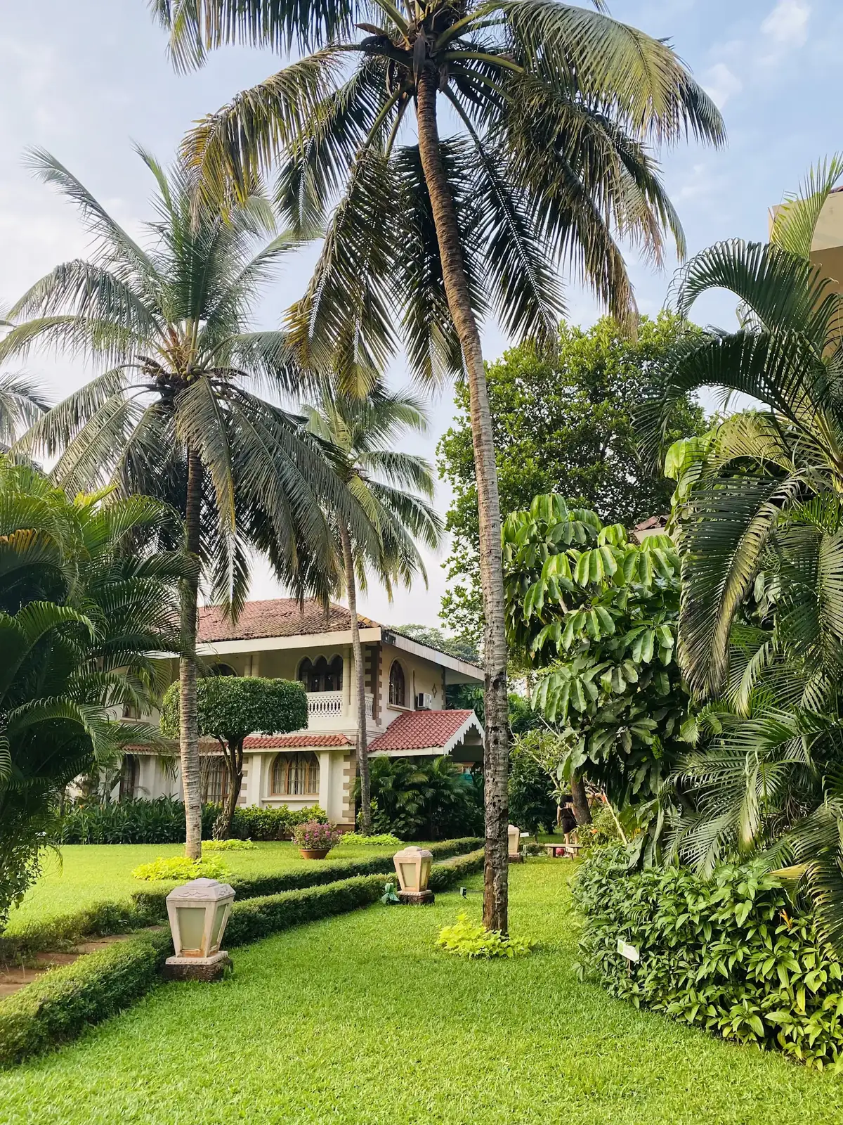 A tropical home framed by palms and a green lawn